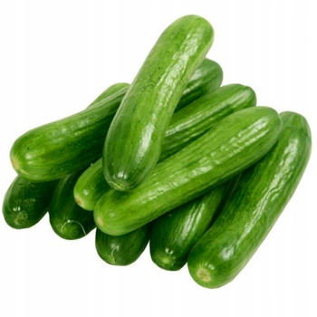 Ogórek szklarniowy Melany F1 nasiona 1 g