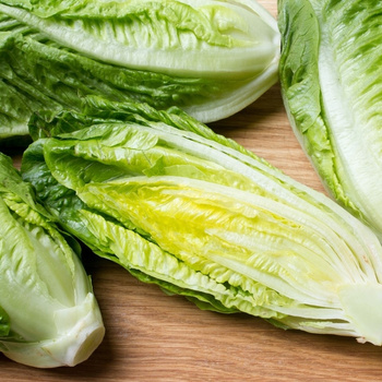 SAŁATA RZYMSKA PARRIS ISLAND COS SAMO ZDROWIE nasiona 1 g