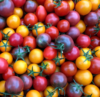 Pomidor cherry mix nasiona 0,2 g